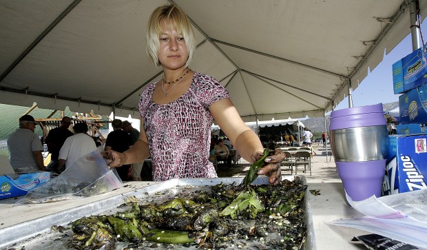 Chile Fest captures big crowd